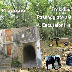 Affitta San Procopio 3*, Troina Italia
